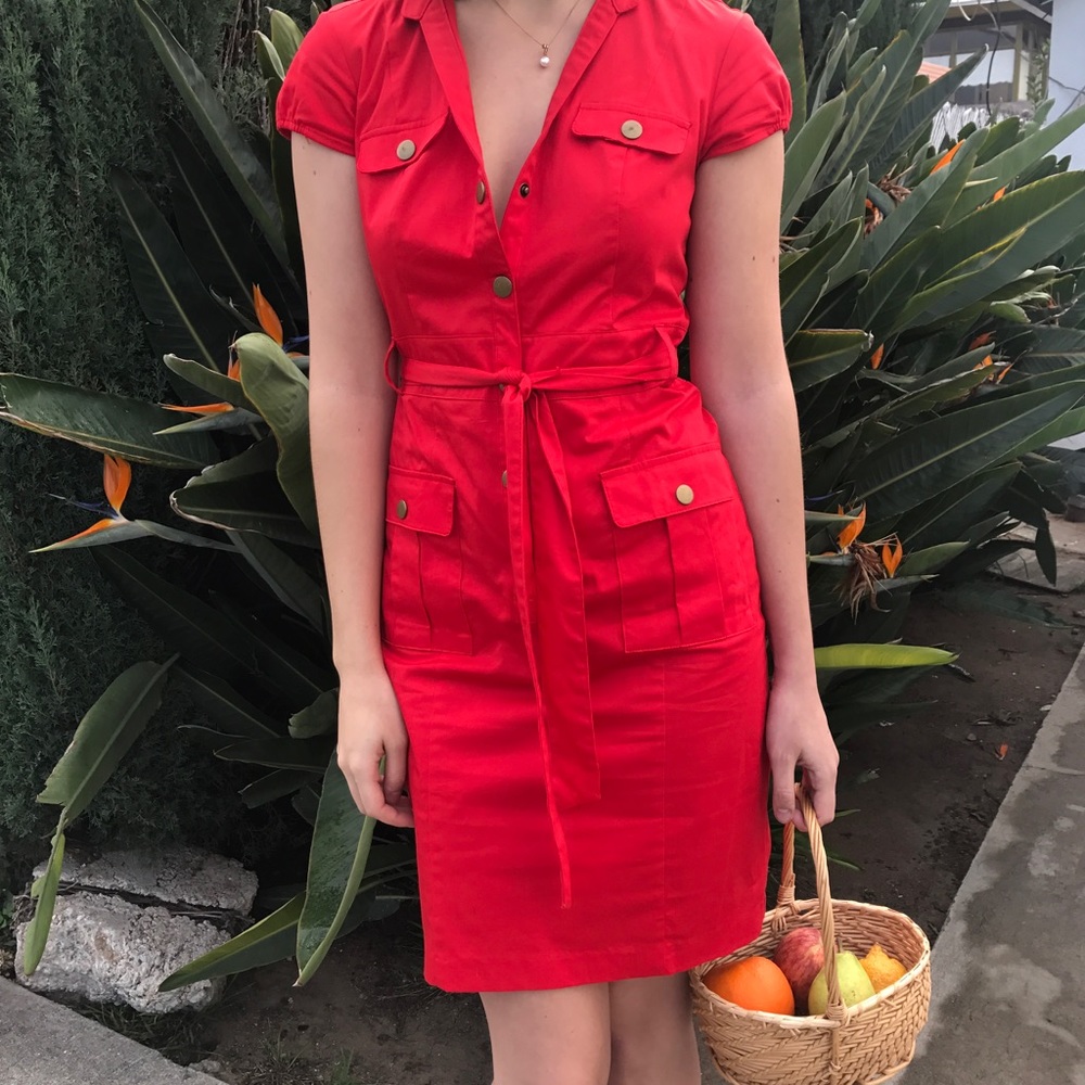 VIBRANT PICNIC DRESS 🍓🍋🍊